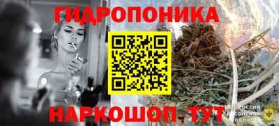 прущие крисы Будённовск