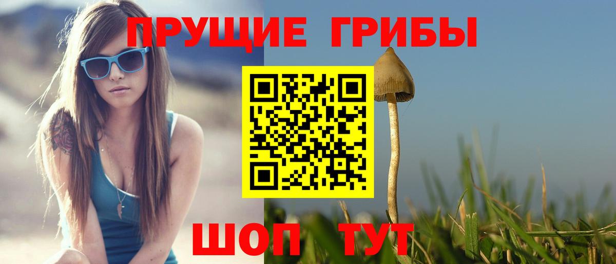 Псилоцибиновые грибы прущие грибы  Псилоцибиновые грибы Magic Shrooms  цены   Тельмана  Вход с VPN 